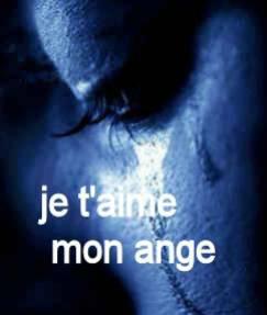  NOUS NE TE LE DIRONT JAMAIS ASSEZ NOUS T'AIMONS MON ANGE