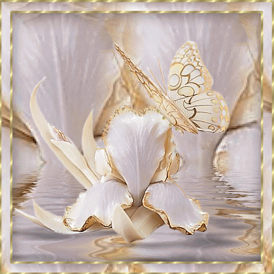 MON ANGE CE PAPILLON S' ENVOLE  VERS TOI 