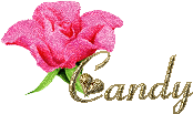  MON ANGE UNE PENSEE POUR TOI ET TA PETITE CANDY QUI T'A REJOINTE 2 JOURS APRES TON DECES