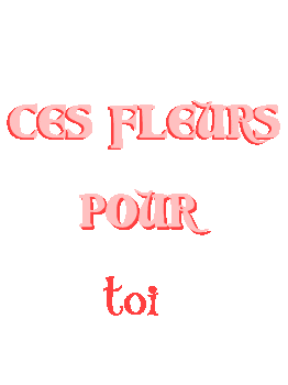 Pour toi mon Steph 