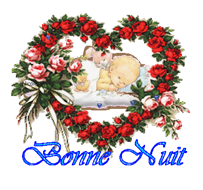 BONNE NUIT MON ANGE VIENT NOUS VOIR LA NUIT
