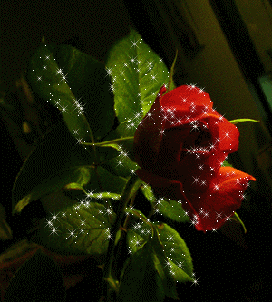   UN PETIT POEME POUR VOUS TOUS