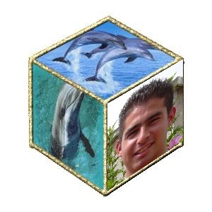 MON ANGE TU ES AVEC LES DAUPHINS, UN MONTAGE DE TON PAPA QUI T'AIME TRES FORT AUSSI 