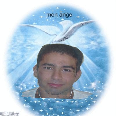  MON PETIT POUSSIN