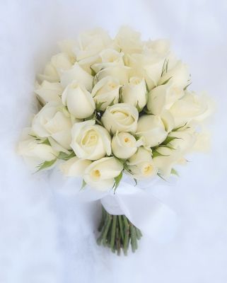 MON ANGE AUJOURD'HUI C' EST L'ANNIVERSAIRE DE CHRISTOPHE LE FILS DE LENORD IL AURAIT EU 18 ANS DONNE LUI CE BOUQUET ET EMBRASSE L'EUX TRES FORT 