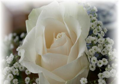 POUR TOI MON ANGE