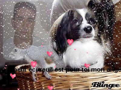 ce petit chien te regarde dans le ciel, ce petit écureuil est sur ton coeur et  moi ta maman je pleure