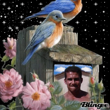 Mon fiston 