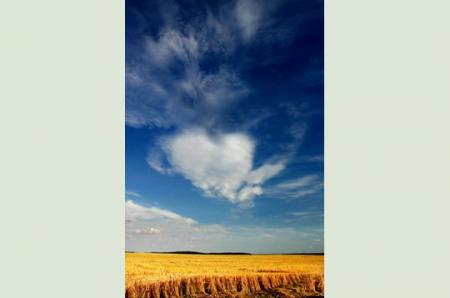  Mon petit ange je le regarde si souvent ce ciel