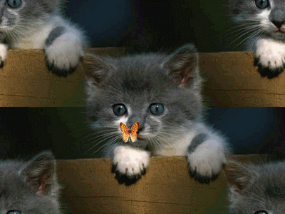 JE T'APPELLAI MON ANGE, MON POUSSIN, MON ECUREUIL ET AUSSI MON CHATON CELUI LA EST POUR TOI TA MAMAN QUI N'AIME QUE TOI
