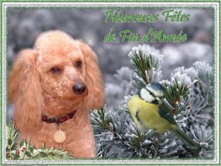  POUR TOI MON ANGE